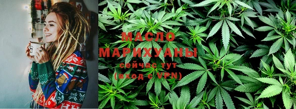 МДПВ Михайлов