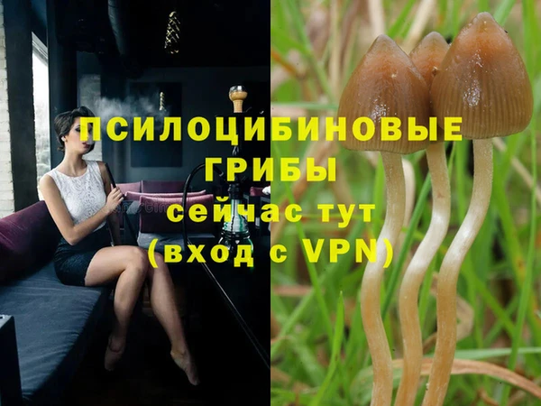 герыч Михайловск