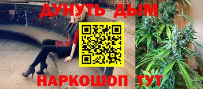 шишки Краснознаменск