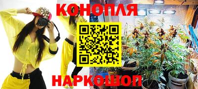 шишки Краснознаменск