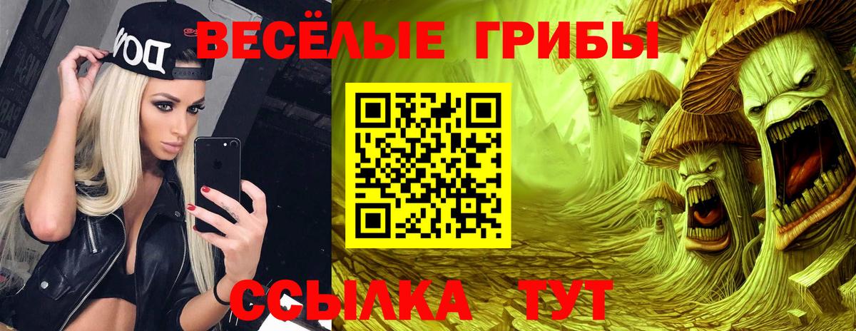 Псилоцибиновые грибы Psilocybe Прокопьевск