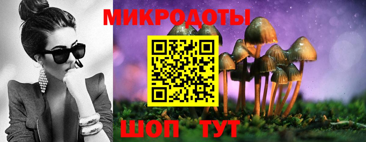 Псилоцибиновые грибы прущие грибы  Вход с VPN  где продают   Галлюциногенные грибы мицелий  Прокопьевск 